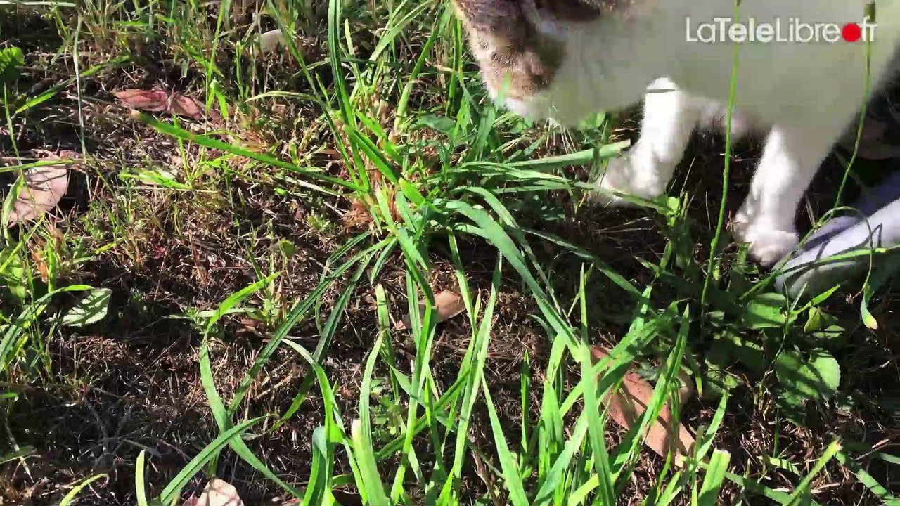 MES VACANCES EN PLAN SEQUENCE #11.1 - NATHALIE EN BRETAGNE