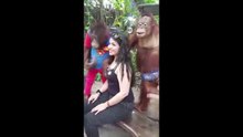 Sans gêne, un  orang-outan particulièrement coquin, profite d’une photo pour peloter une touriste