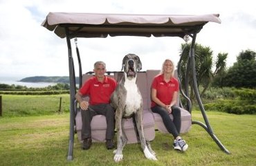 Gölgesinden Bile Korkan Dev Köpek Major