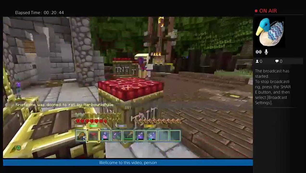MineCraft Mini Game Episode 13 (31)