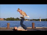 Skillful Dog Probably Has More Impressive Tricks Than You