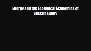 Popular book Energy and the Ecological Economics of Sustainability