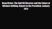 Download now Deep Water: The Gulf Oil Disaster and the Future of Offshore Drilling: Report