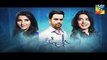 Dil E Beqarar - Episode 16 Promo HD HUM TV Drama 27 July 2016