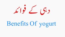 Dahi Ke Fawaid | Benefits Of Curd | Yogurt Health Benefits