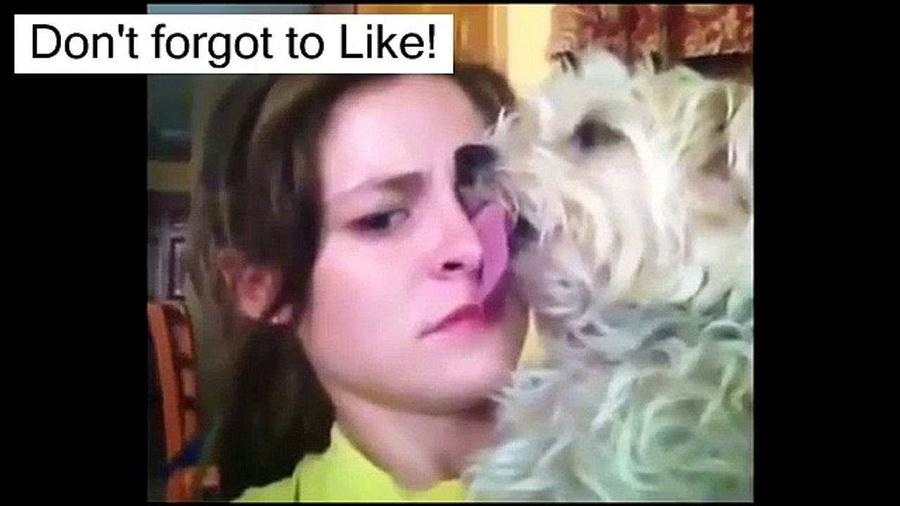 New Funny Video! Funniest Things Ever! Best! Try not to laugh