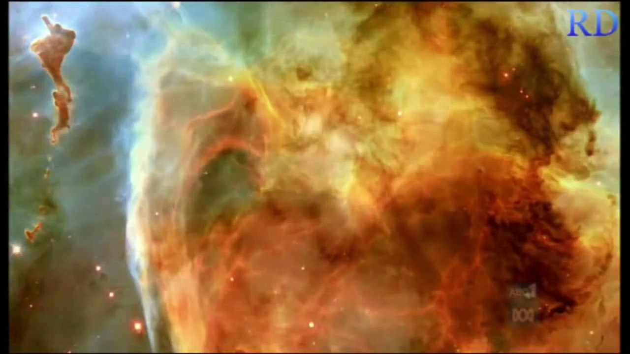 Denton meets Dawkins (1/3)