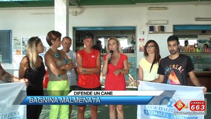 DIFENDE UN CANE - BAGNINA MALMENATA
