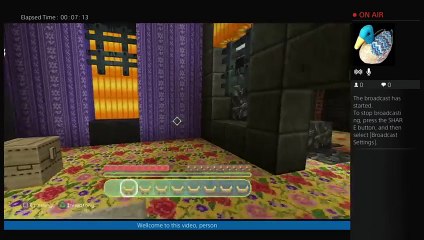 Little Big Planet IN MINECRAFT (32)