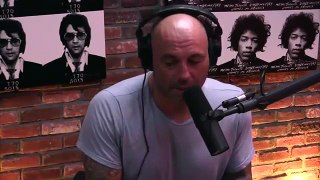 Exclusive : Joe Rogan Says, He will resign with UfC at 2017 end