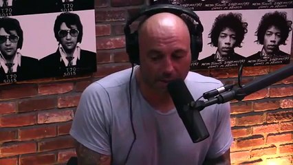 Exclusive : Joe Rogan Says, He will resign with UfC at 2017 end
