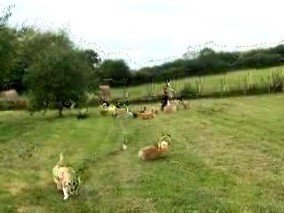 Photos du 21 07 2007 052