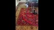 Cleaning With Love Persian Rug Cleaning with Pet Stains