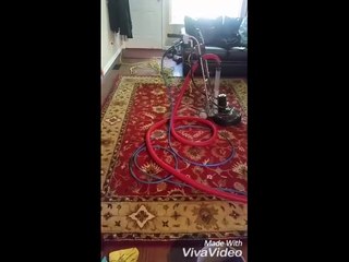 Cleaning With Love Persian Rug Cleaning with Pet Stains