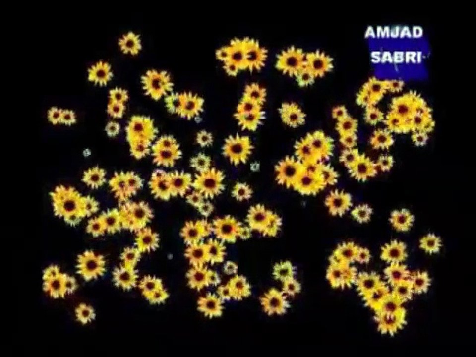 Amjad Sabri - ALI MERA DIL - Best famous Qawali