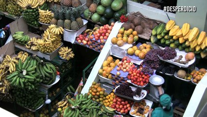En EE.UU. toneladas de alimentos terminan en la basura por ‘feos’