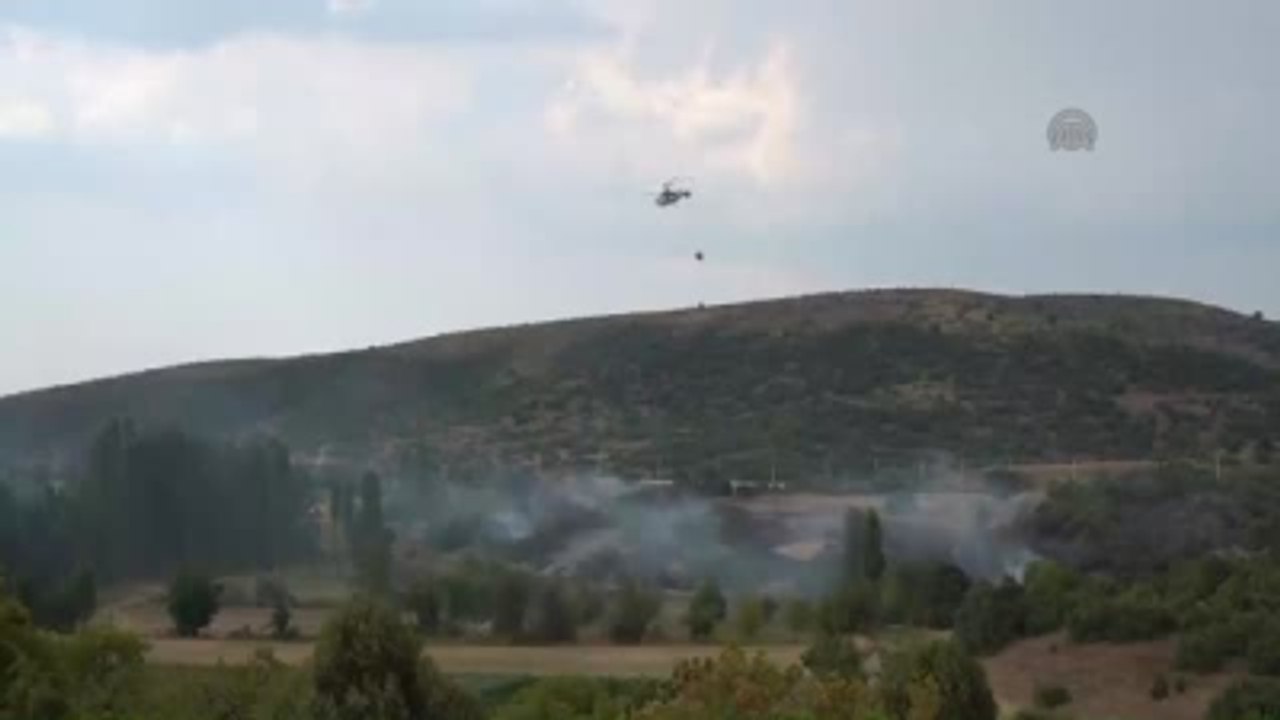 Orman Yangını