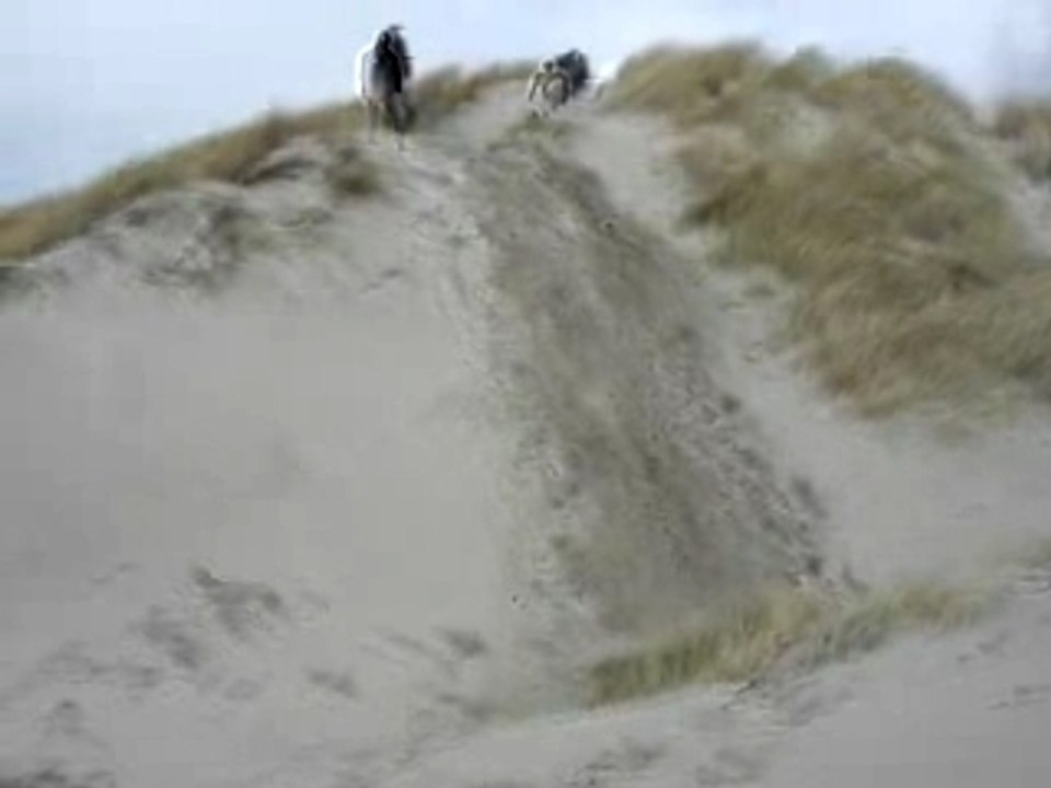 Gpn cascade baie de somme dune