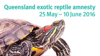 Queensland exotic reptile amnesty 25 May–10 June 2016