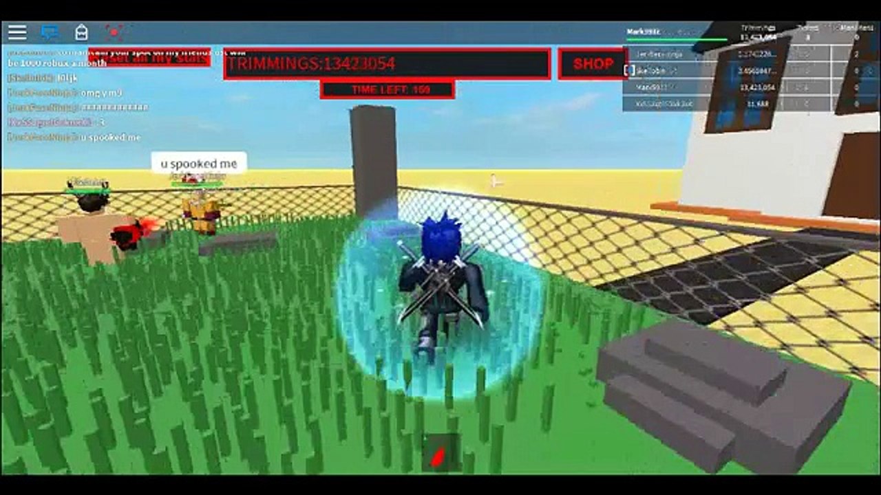 Roblox Mow My Lawn Dev Room And Last blade