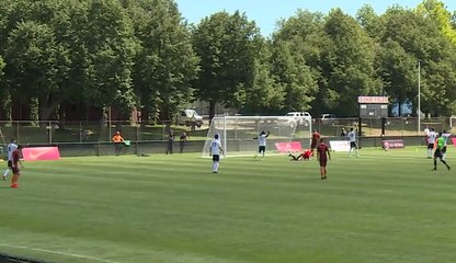 Edin Dzeko postigao dva pogotka protiv Boston Boltsa