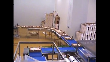 Donmuş Tavuk Kutuları Shrink Paketleme - Shrink Makinası