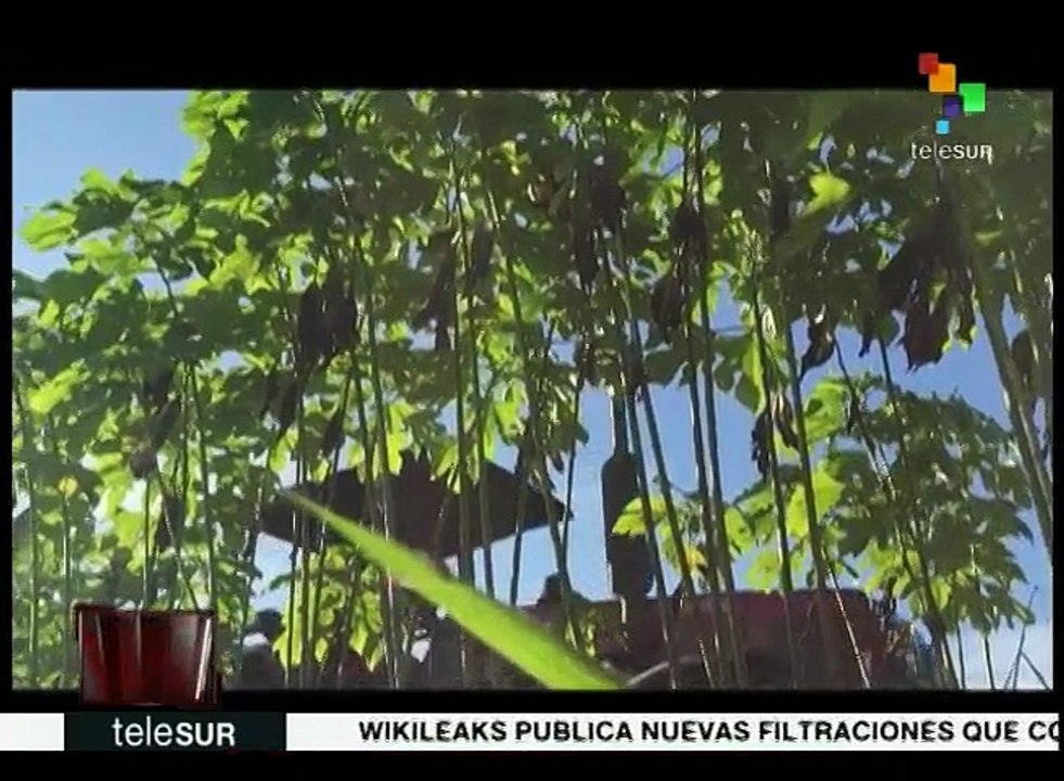 Reportajes teleSUR: La Venezuela que no se muestra