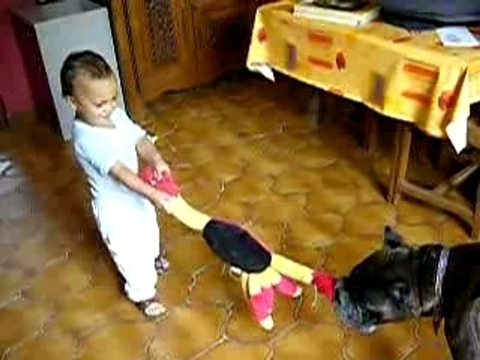 P1010103