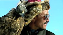 Hunting with golden eagle