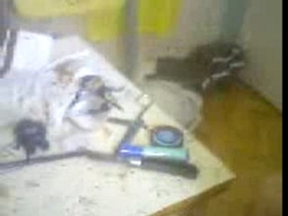 thom's couille une douille