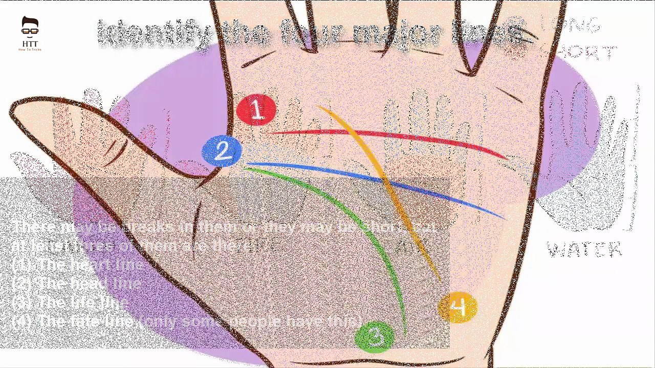 Read Palm At Home | How To Read Palm Explained | How To Read Palms For Beginners