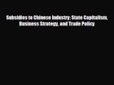 FREE PDF Subsidies to Chinese Industry: State Capitalism Business Strategy and Trade Policy