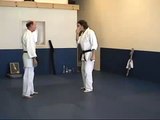 ACE Aikido Clip 15 - Yokomen uchi Ude Otoshi
