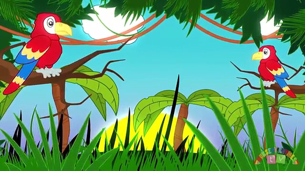 ANIMALS IN THE JUNGLE - Nursery Rhymes TV. Toddler - Kindergarten - Preschool Songs