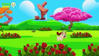 Ringa Ringa Roses  Nursery Rhymes by Little Buds