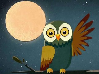 La Chouette entre veille et sommeil: Trailer HD