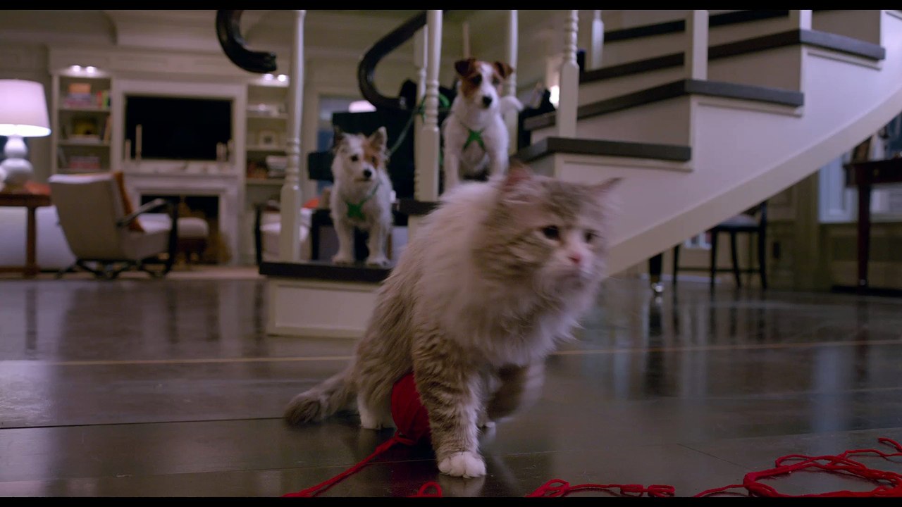 MA VIE DE CHAT - Extrait "Vilain matou" VF [Jennifer Garner]