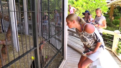 МЕГА ДЕНЬ Анастасии Волочковой в Ялте-Интурист - знакомство с шимпанзе