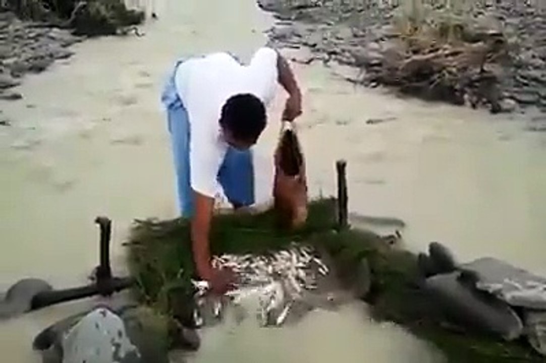 Fishing is so good task in pool