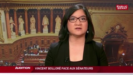 Vincent Bolloré devant les sénateurs - Les matins du Sénat (28/07/2016)