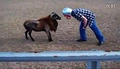 haha so funny ...Must watch