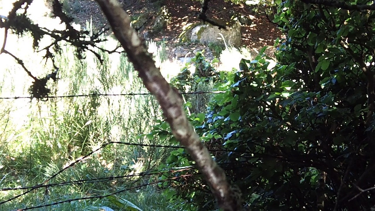 Reflets 3