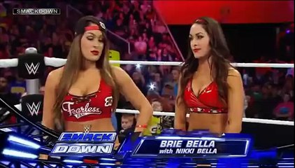 AJ Lee Vs Brie Bella ( AJ Lee dressed as Nikki Bella )