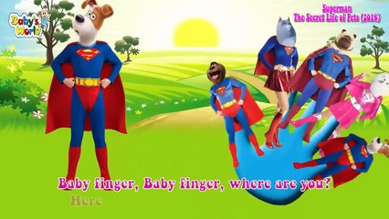 Kids song Superman The Peanuts Cartoons For Children - Finger Family Nursery Rhymes Songs For kids.