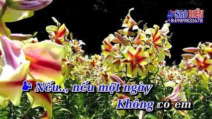Karaoke Liên Khúc Cha Cha (Ngọc Ngữ ft Hoàng nhung) DEMO