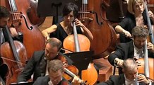 BEETHOVEN Symphony No. 9: Ode To Joy Excerpt 1 (Sydney Symphony Orchestra / Ashkenazy)