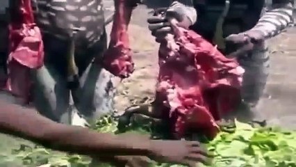 Meeting tribal peoples, tour to Africa, ethiopia West Papua Africa Himba culture