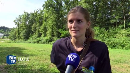 Devenir soigneur d'un jour au zoo de Beauval