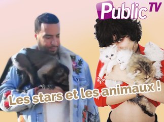 Les stars et les animaux : une grande histoire d’amour !