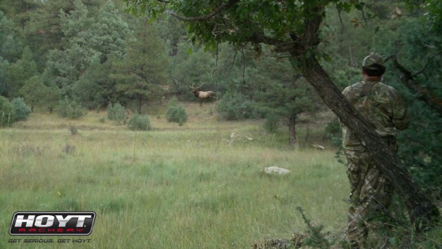 15-Yard Files: Bowhunting Action During the Elk Rut